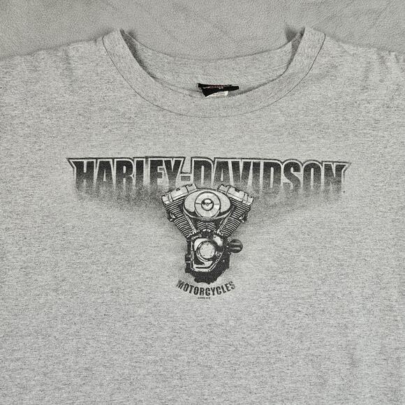 Vintage Harley Davidson T-Shirt Mens 2X Gray 2006 Y2K USA Daytona Biker Holoubek - Picture 2 of 15